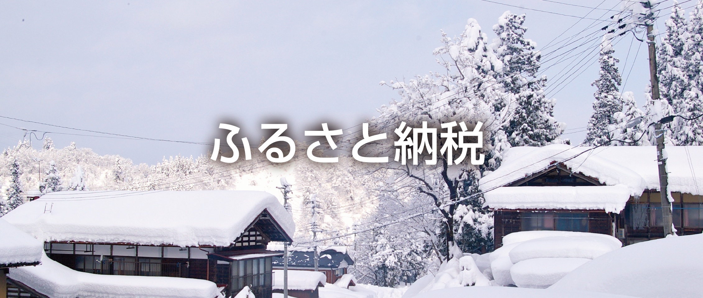 ふるさと納税
